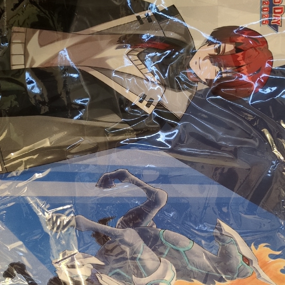 Anime Character Poster